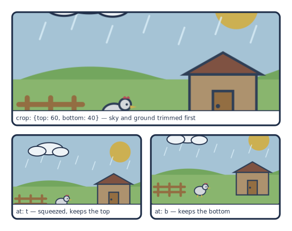 One full-width cropped image, then two images squeezed and anchored to the top and bottom